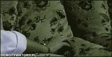 1394035248_by_ST6_inner_noframe.gif