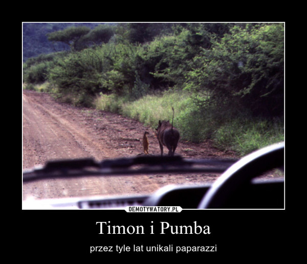 Timon i Pumba – przez tyle lat unikali paparazzi 