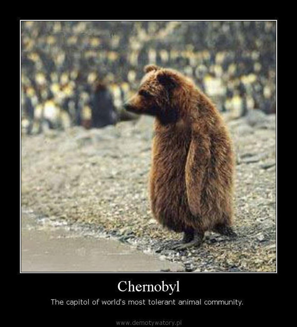 Chernobyl – The capitol of world's most tolerant animal community.   