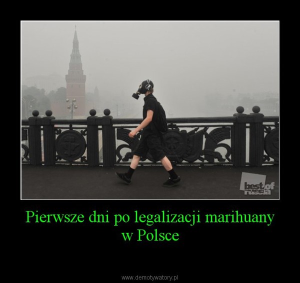 Pierwsze dni po legalizacji marihuany w Polsce –  