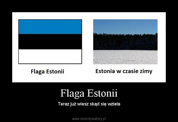 Flaga Estonii – Teraz już wiesz skąd się wzieła 