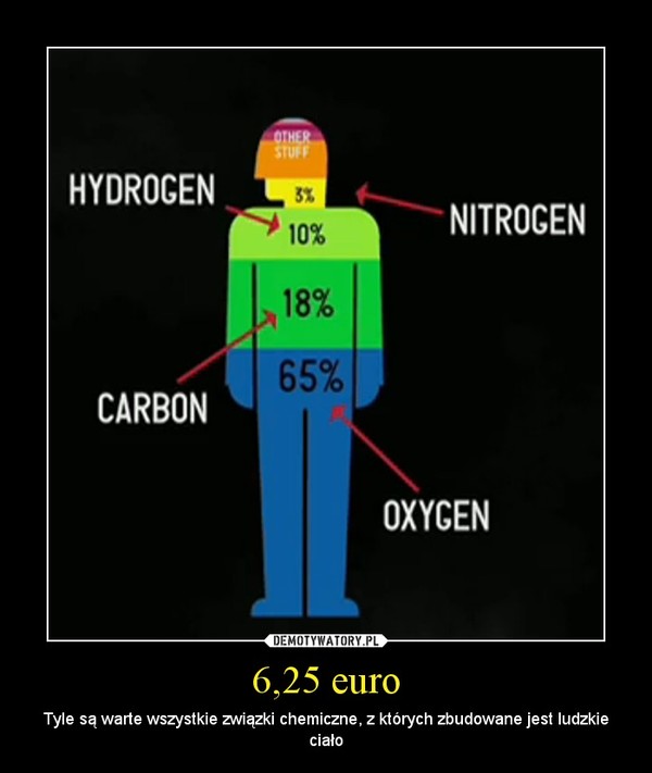 6,25 euro – Tyle są warte wszystkie związki chemiczne, z których zbudowane jest ludzkie ciało 