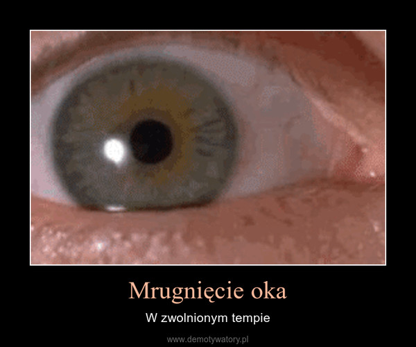 Mrugnięcie oka – W zwolnionym tempie 
