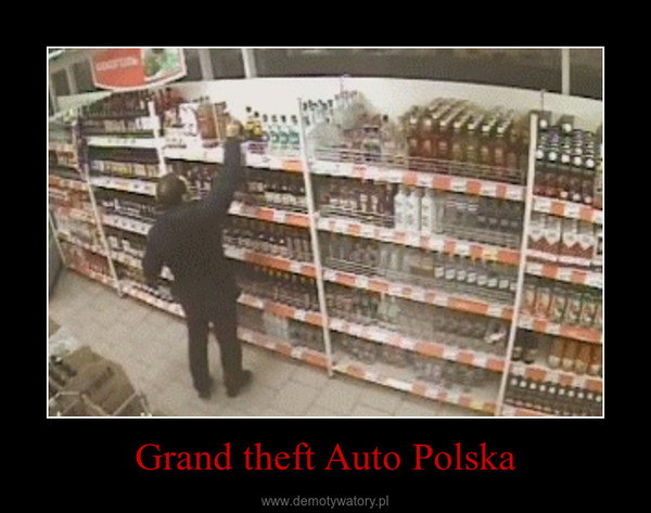 Grand theft Auto Polska –  