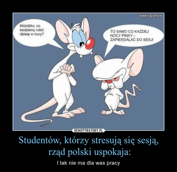 Studentów, którzy stresują się sesją, rząd polski uspokaja: – I tak nie ma dla was pracy 