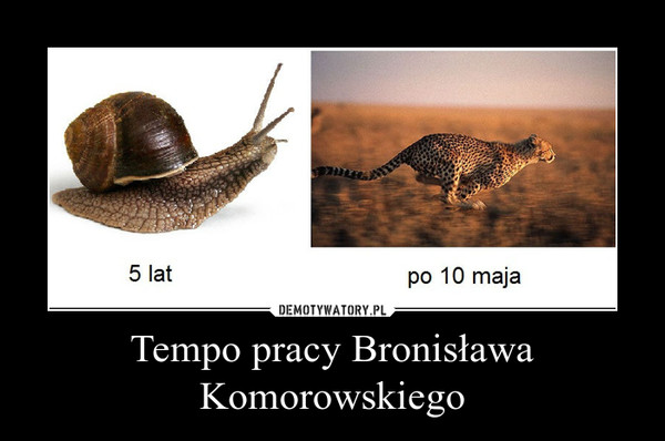 Tempo pracy Bronisława Komorowskiego