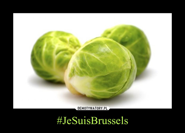 #JeSuisBrussels –  
