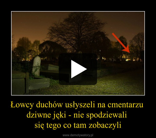 Łowcy duchów usłyszeli na cmentarzu dziwne jęki - nie spodziewali się tego co tam zobaczyli –  