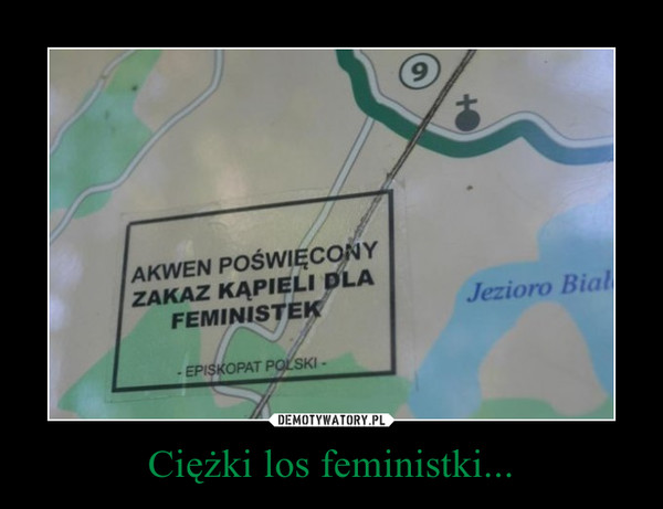 Ciężki los feministki... –  