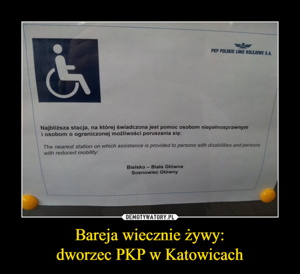 Bareja wiecznie żywy:dworzec PKP w Katowicach –  