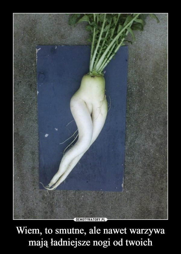 Wiem, to smutne, ale nawet warzywa mają ładniejsze nogi od twoich –  