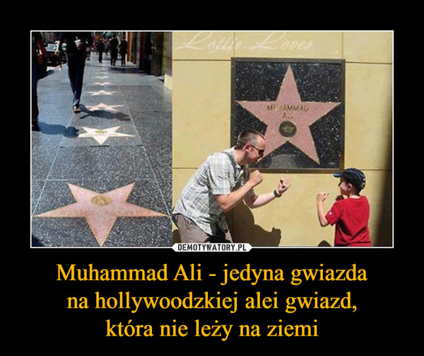Muhammad Ali - jedyna gwiazda na hollywoodzkiej alei gwiazd, która nie leży na ziemi –  