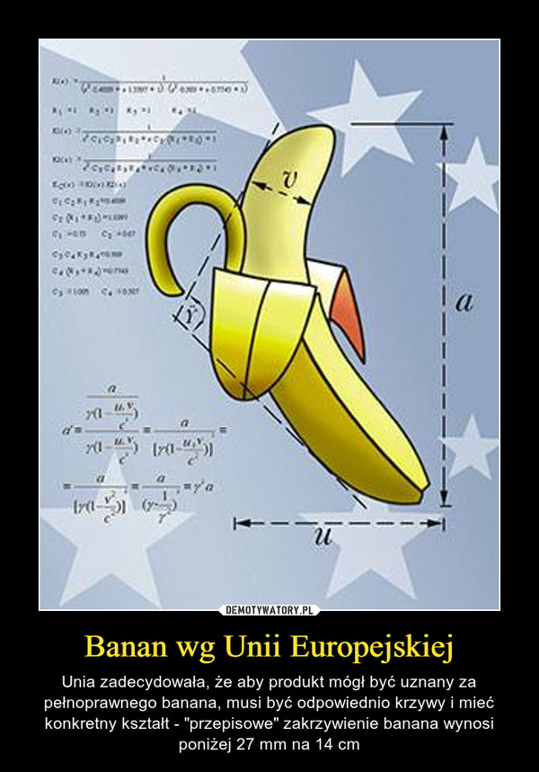 Banan wg Unii Europejskiej – Unia zadecydowała, że aby produkt mógł być uznany za pełnoprawnego banana, musi być odpowiednio krzywy i mieć konkretny kształt - "przepisowe" zakrzywienie banana wynosi poniżej 27 mm na 14 cm 