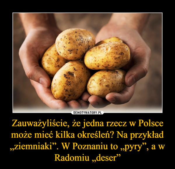 Zauważyliście, że jedna rzecz w Polsce może mieć kilka określeń? Na przykład „ziemniaki”. W Poznaniu to „pyry”, a w Radomiu „deser” –  