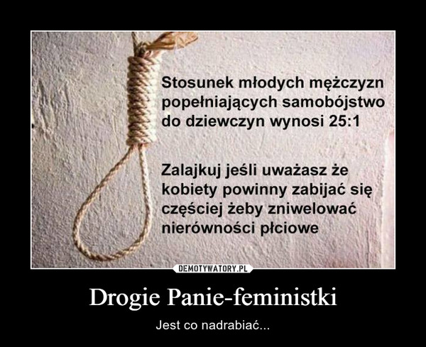 Drogie Panie-feministki