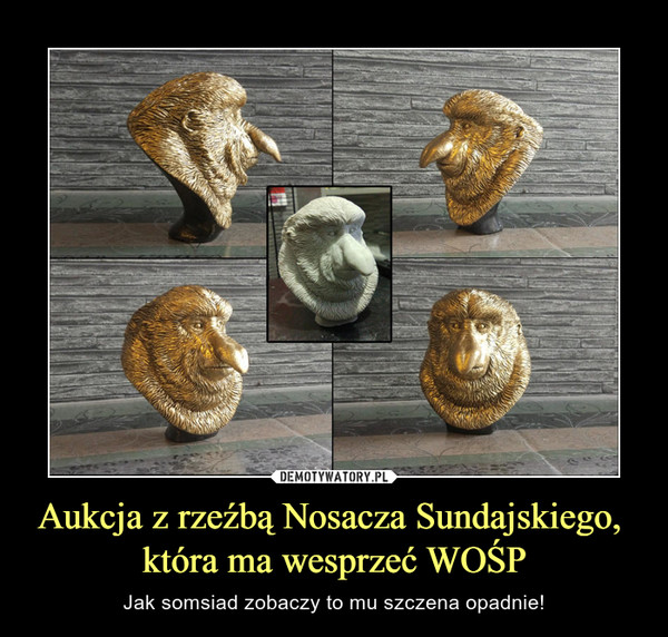 Aukcja z rzeźbą Nosacza Sundajskiego, 
która ma wesprzeć WOŚP