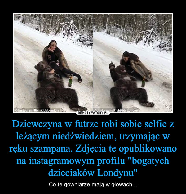 Dziewczyna w futrze robi sobie selfie z leżącym niedźwiedziem, trzymając w ręku szampana. Zdjęcia te opublikowano na instagramowym profilu "bogatych dzieciaków Londynu"