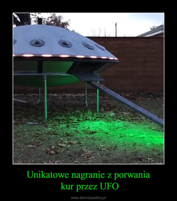Unikatowe nagranie z porwania kur przez UFO –  