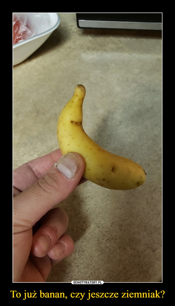 To już banan, czy jeszcze ziemniak? –  