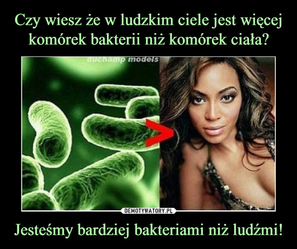 Jesteśmy bardziej bakteriami niż ludźmi! –  