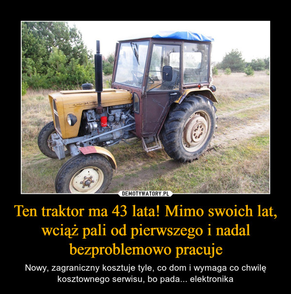 Ten traktor ma 43 lata! Mimo swoich lat, wciąż pali od pierwszego i nadal bezproblemowo pracuje – Nowy, zagraniczny kosztuje tyle, co dom i wymaga co chwilę kosztownego serwisu, bo pada... elektronika 