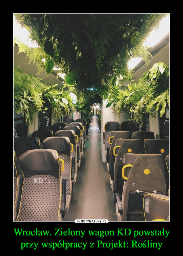 Wrocław. Zielony wagon KD powstały przy współpracy z Projekt: Rośliny
