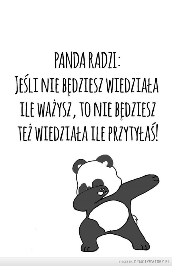 Mądra panda