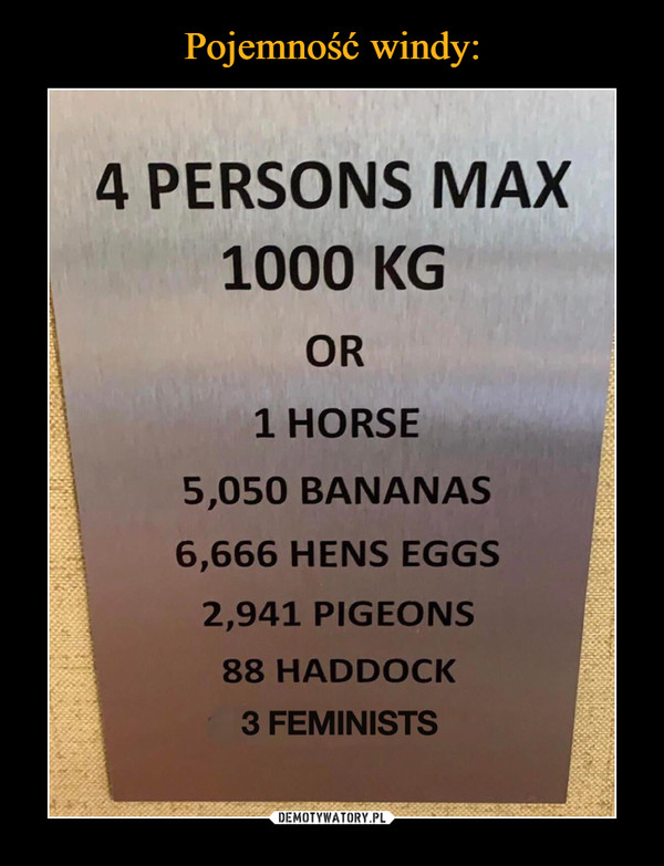  –  4 PERSONS MAX 1000 KG OR 1 HORSE 5,050 BANANAS 6,666 HENS EGGS 2,941 PIGEONS 88 HADDOCK 3 FEMINISTS