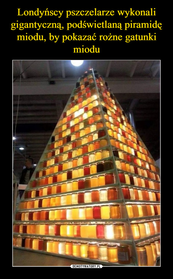 Londyńscy pszczelarze wykonali gigantyczną, podświetlaną piramidę miodu, by pokazać rożne gatunki miodu