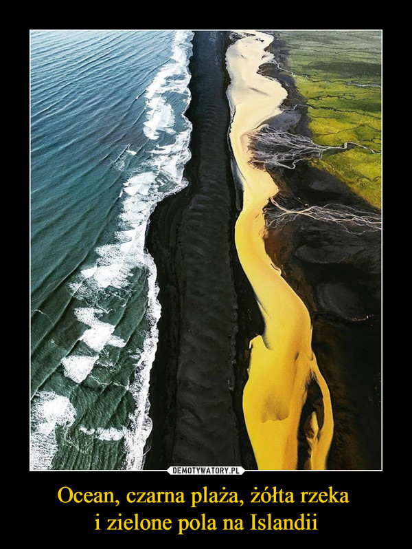 Ocean, czarna plaża, żółta rzeka i zielone pola na Islandii –  