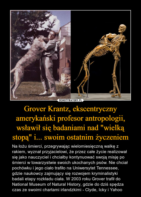 Grover Krantz, ekscentryczny amerykański profesor antropologii, wsławił się badaniami nad "wielką stopą" i... swoim ostatnim życzeniem