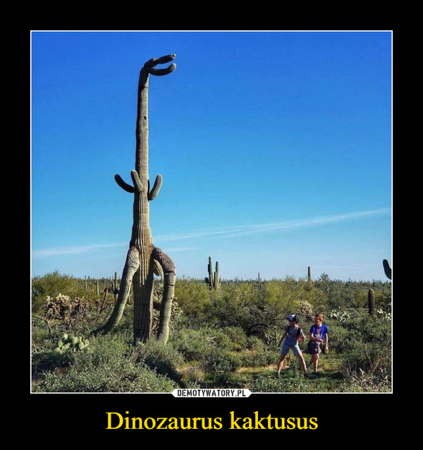 Dinozaurus kaktusus –  