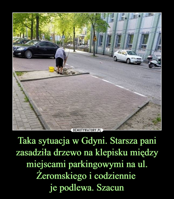 Taka sytuacja w Gdyni. Starsza pani zasadziła drzewo na klepisku między miejscami parkingowymi na ul. Żeromskiego i codziennie je podlewa. Szacun –  