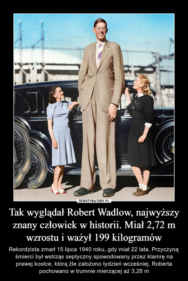 Tak wyglądał Robert Wadlow, najwyższy znany człowiek w historii. Miał 2,72 m wzrostu i ważył 199 kilogramów