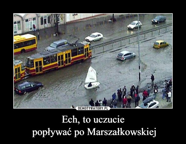 Ech, to uczucie popływać po Marszałkowskiej –  