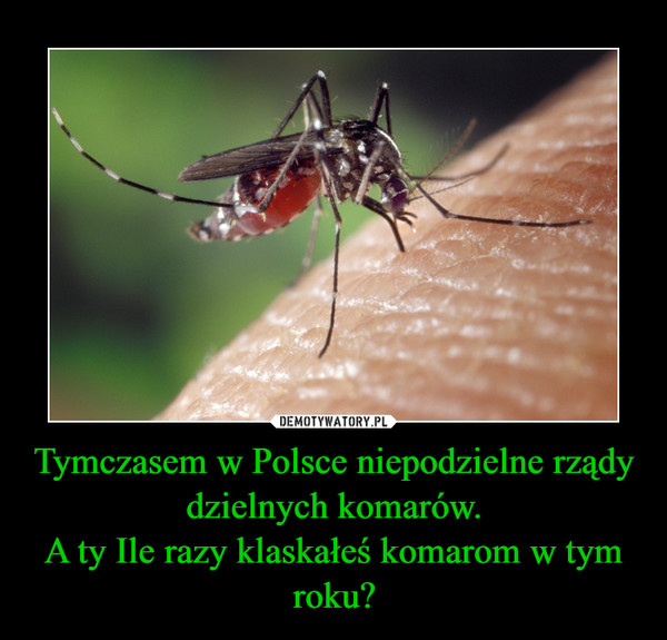 Tymczasem w Polsce niepodzielne rządy dzielnych komarów.
A ty Ile razy klaskałeś komarom w tym roku?