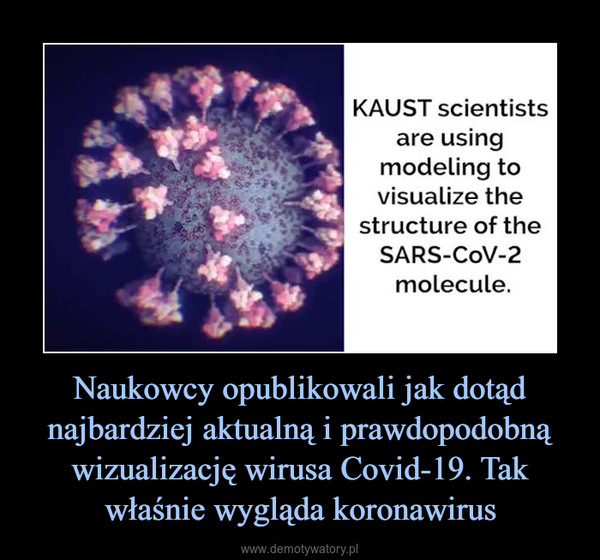 Naukowcy opublikowali jak dotąd najbardziej aktualną i prawdopodobną wizualizację wirusa Covid-19. Tak właśnie wygląda koronawirus –  