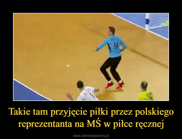 Takie tam przyjęcie piłki przez polskiego reprezentanta na MŚ w piłce ręcznej –  