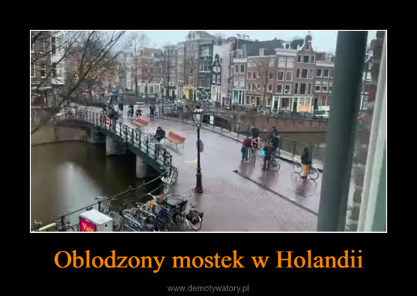 Oblodzony mostek w Holandii –  
