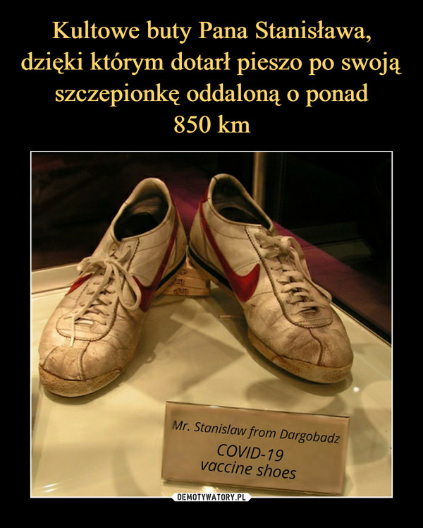Kultowe buty Pana Stanisława, dzięki którym dotarł pieszo po swoją szczepionkę oddaloną o ponad
850 km