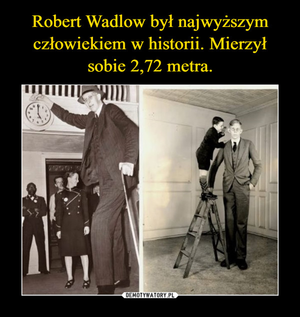 Robert Wadlow był najwyższym człowiekiem w historii. Mierzył sobie 2,72 metra.