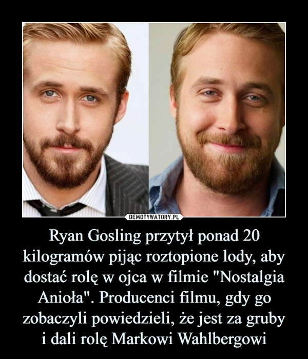 Ryan Gosling przytył ponad 20 kilogramów pijąc roztopione lody, aby dostać rolę w ojca w filmie "Nostalgia Anioła". Producenci filmu, gdy go zobaczyli powiedzieli, że jest za grubyi dali rolę Markowi Wahlbergowi –  