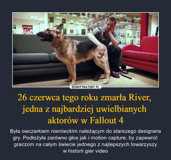 26 czerwca tego roku zmarła River, jedna z najbardziej uwielbianych aktorów w Fallout 4 – Była owczarkiem niemieckim należącym do starszego designera gry. Podłożyła zarówno głos jak i motion capture, by zapewnić graczom na całym świecie jednego z najlepszych towarzyszyw historii gier video 