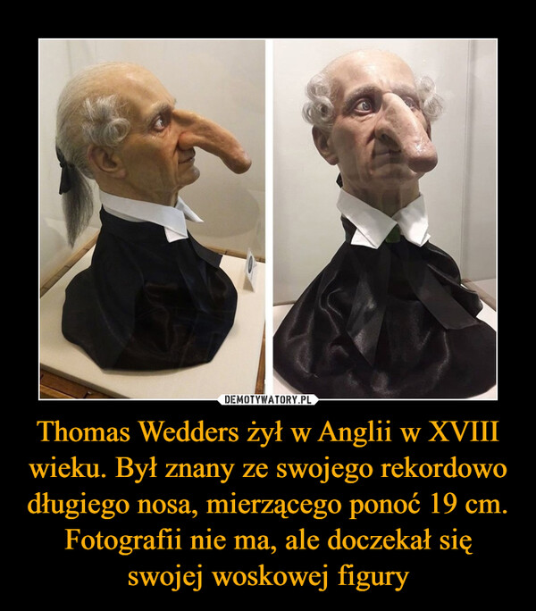 Thomas Wedders żył w Anglii w XVIII wieku. Był znany ze swojego rekordowo długiego nosa, mierzącego ponoć 19 cm. Fotografii nie ma, ale doczekał się swojej woskowej figury –  