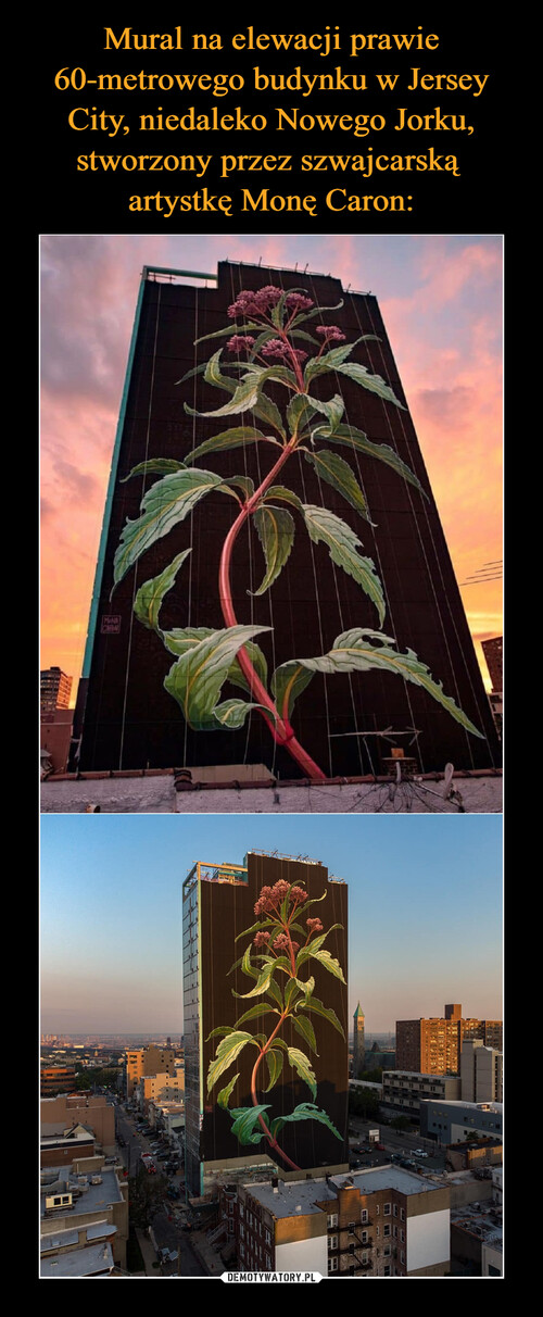 Mural na elewacji prawie 60-metrowego budynku w Jersey City, niedaleko Nowego Jorku, stworzony przez szwajcarską 
artystkę Monę Caron: