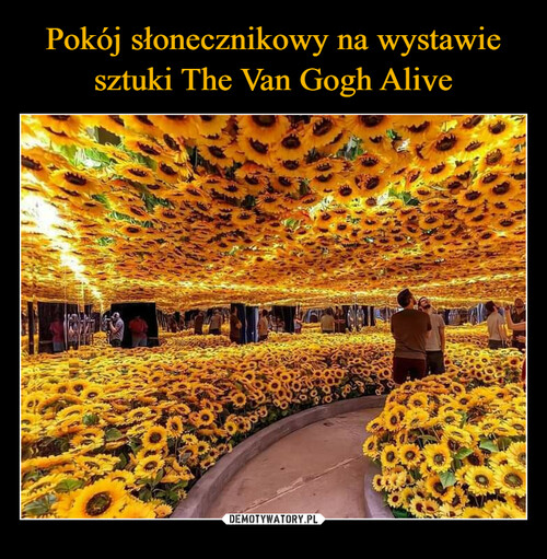 Pokój słonecznikowy na wystawie sztuki The Van Gogh Alive