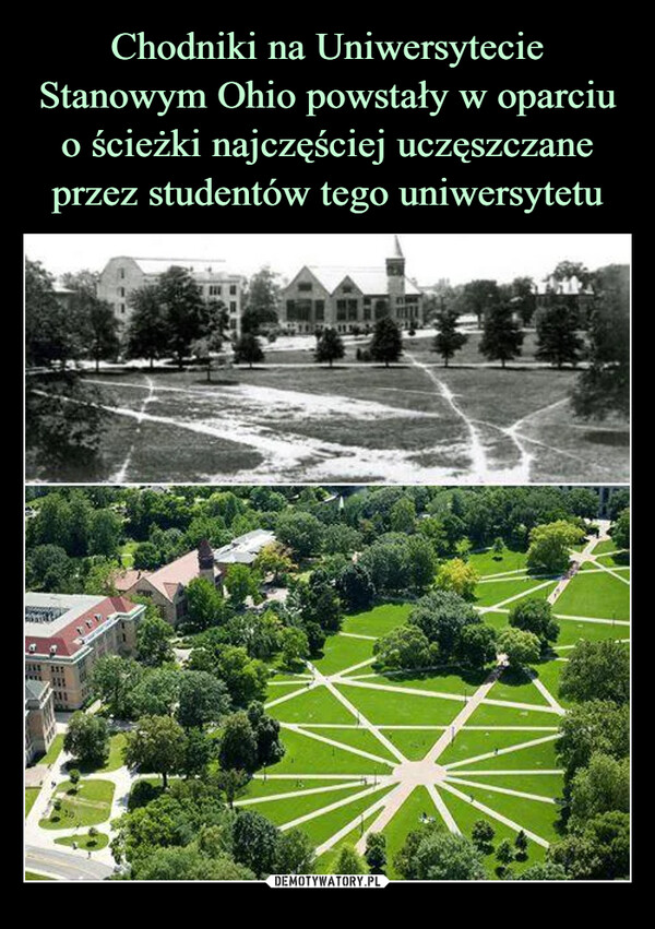 Chodniki na Uniwersytecie Stanowym Ohio powstały w oparciu o ścieżki najczęściej uczęszczane przez studentów tego uniwersytetu
