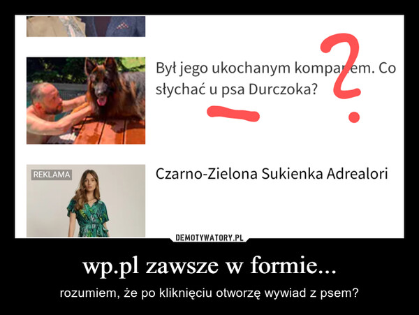 wp.pl zawsze w formie... – rozumiem, że po kliknięciu otworzę wywiad z psem? 