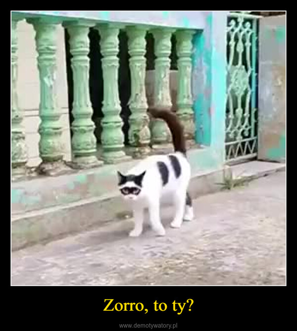 Zorro, to ty? –  