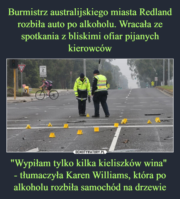 "Wypiłam tylko kilka kieliszków wina" - tłumaczyła Karen Williams, która po alkoholu rozbiła samochód na drzewie –  
